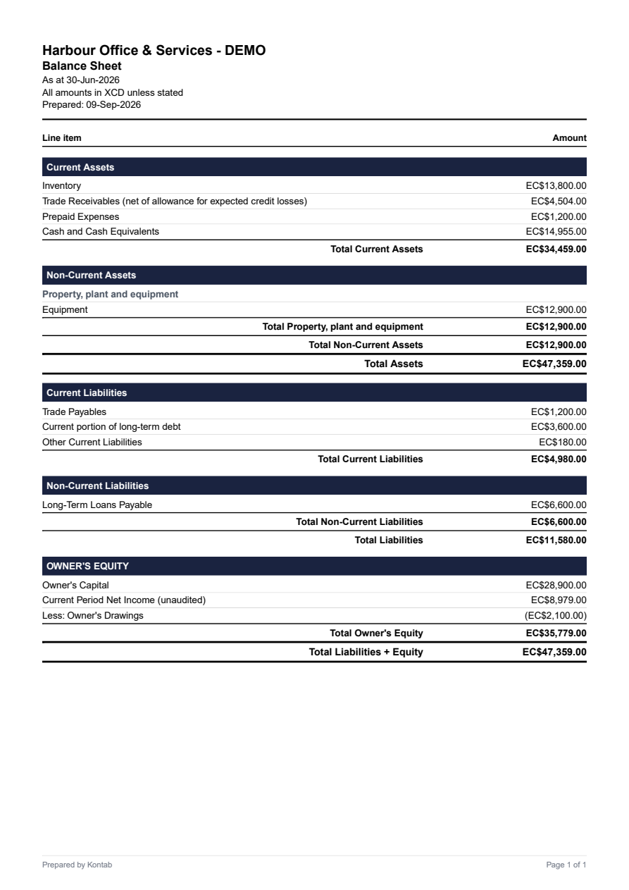 Balance sheet — complete native Kontab export for the demo business