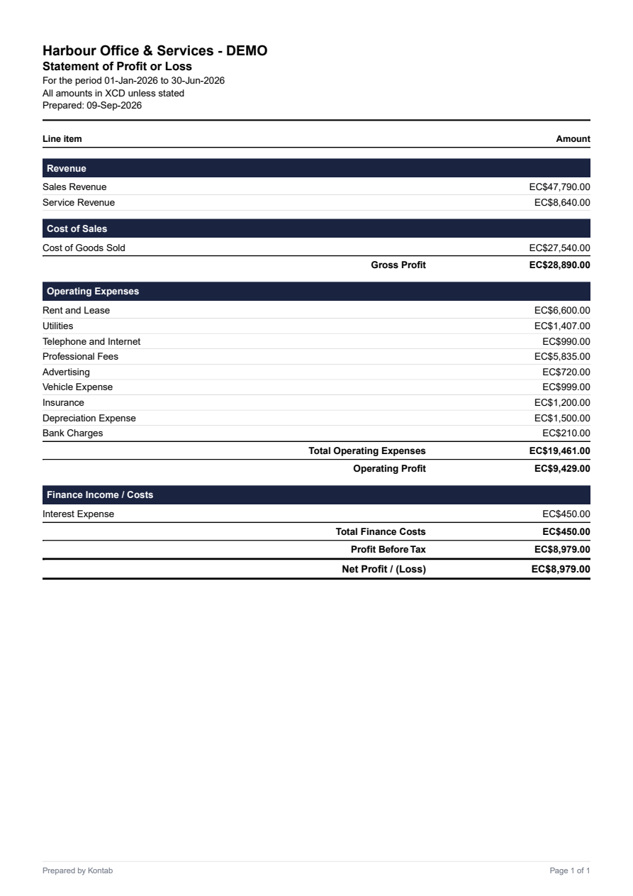 Income statement — complete native Kontab export for the demo business